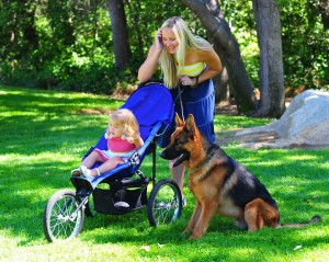 Family outing to the park with a well-trained German Shepherd Dog