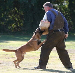 Luigi working with John Riboni