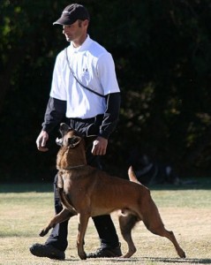 David Green and Luigi du Dantero